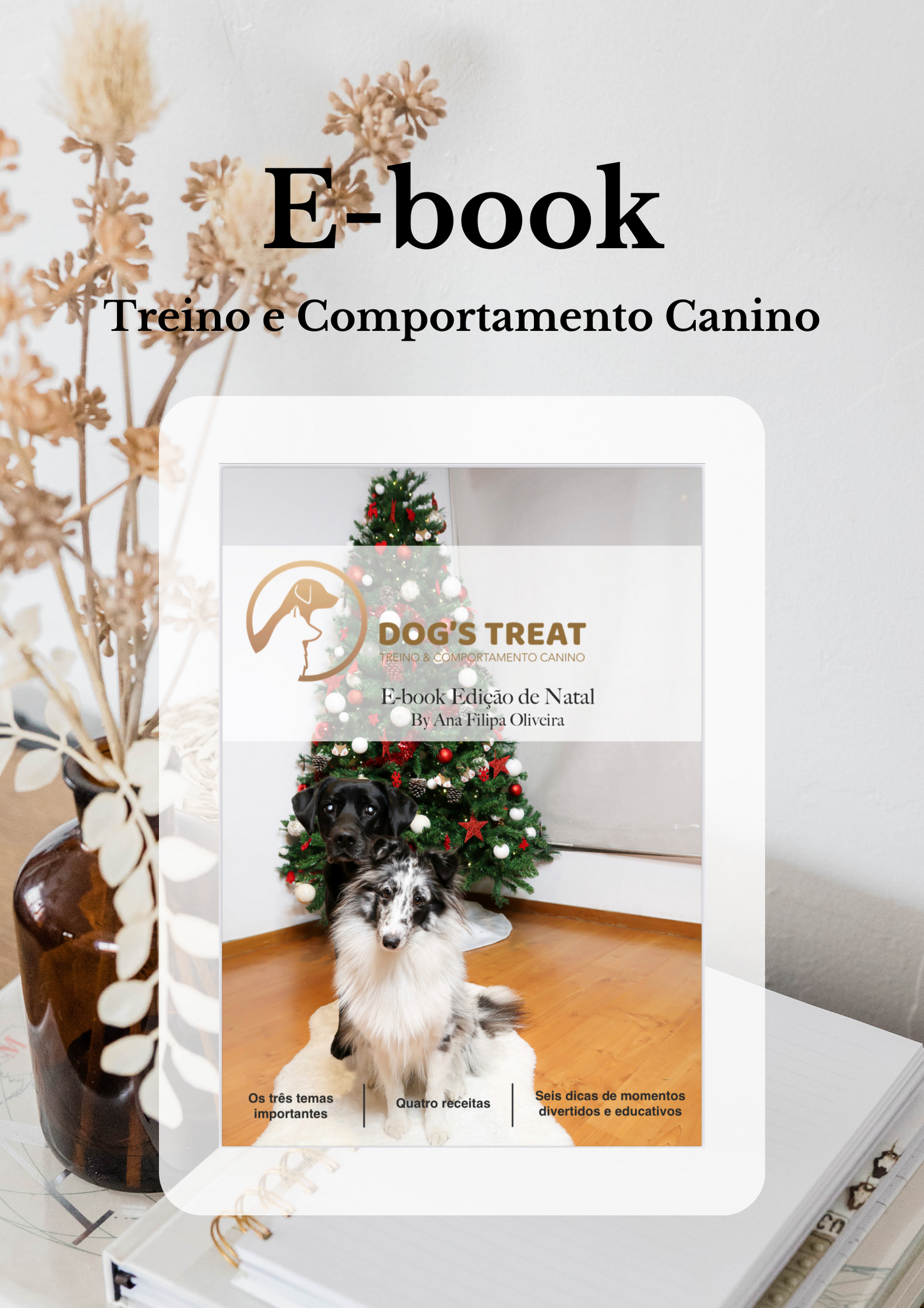 E-book Edição de Natal