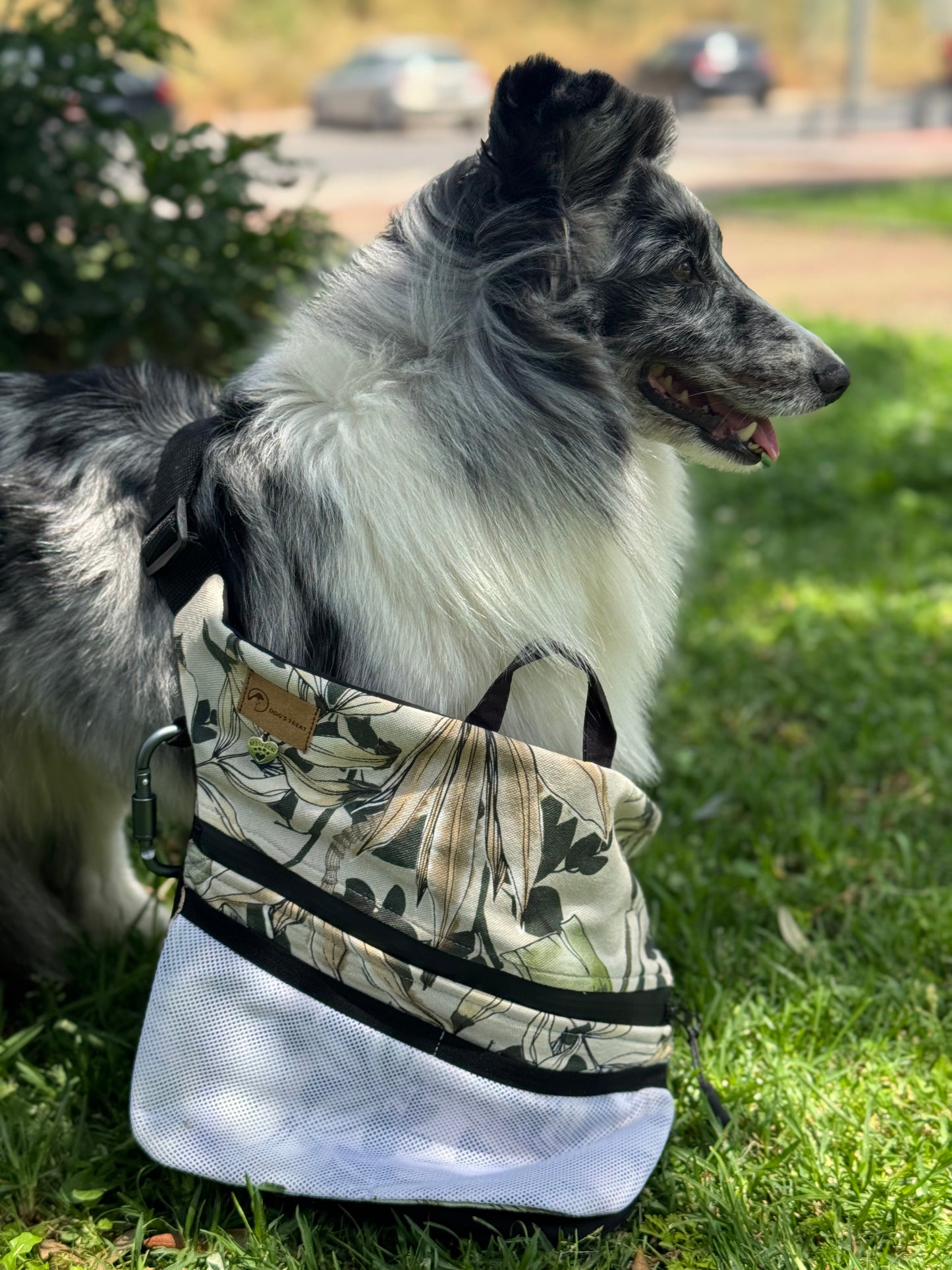 Treat Bag
